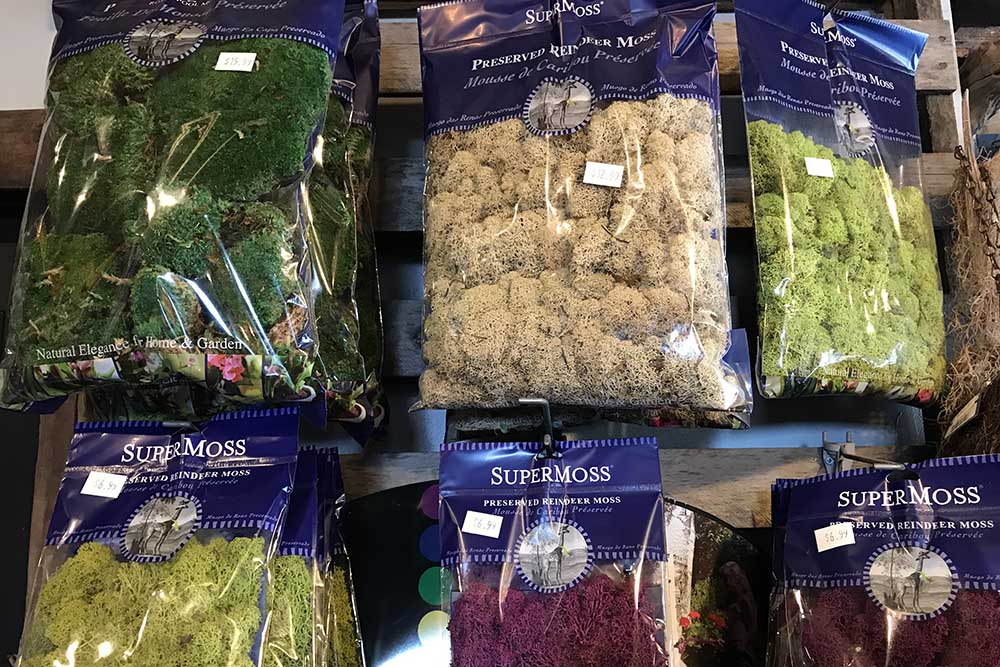 Bags of preserved reindeer moss in green and natural