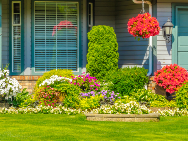 Front yard with perennials, annuals, and hanging baskets
