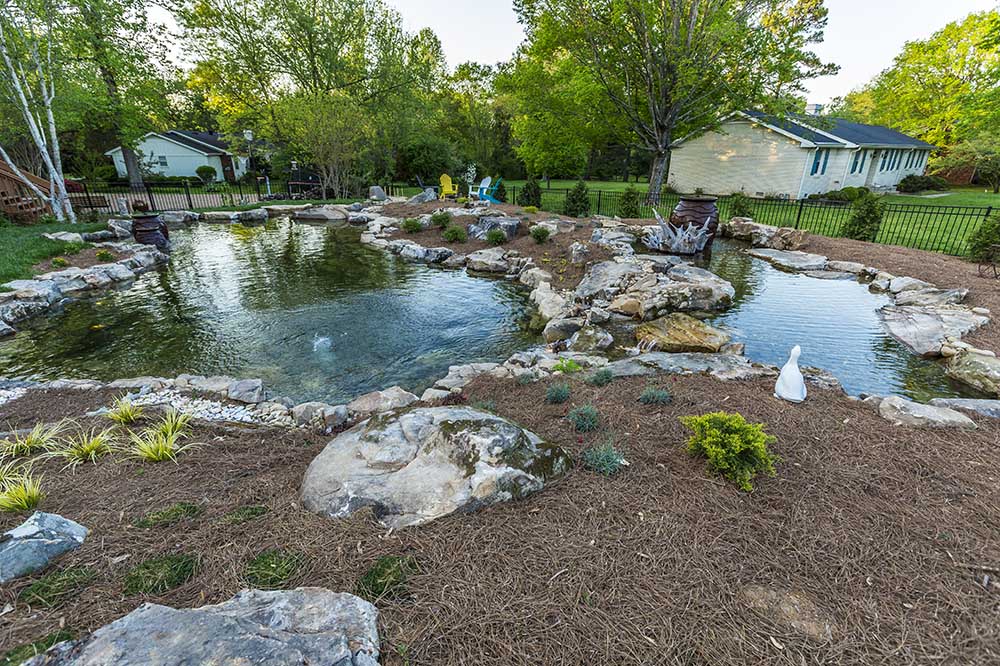 A finished JVI ecosystem pond, Brentwood install with stonework and planted edges