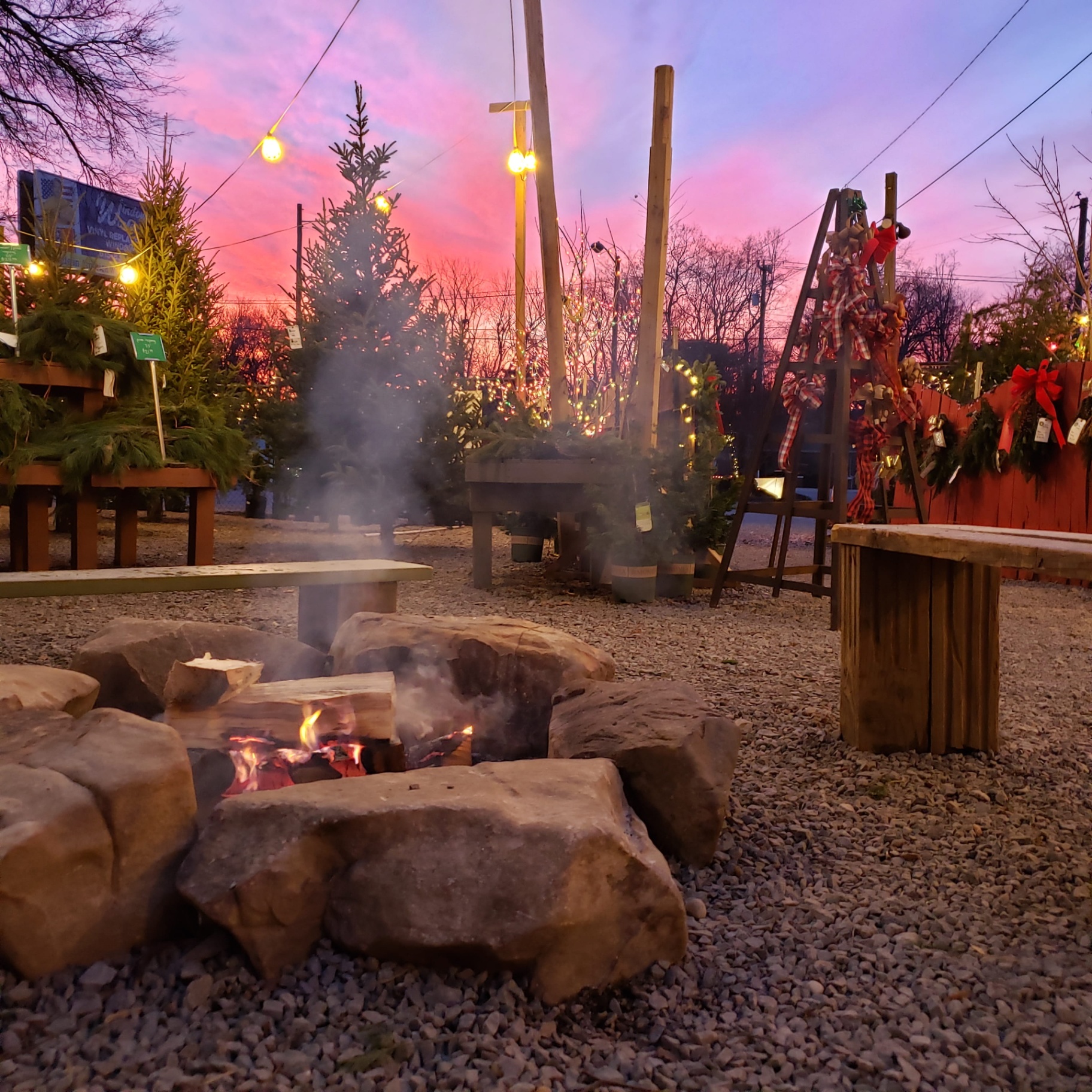 Fire pit glowing at the tree lot at dusk