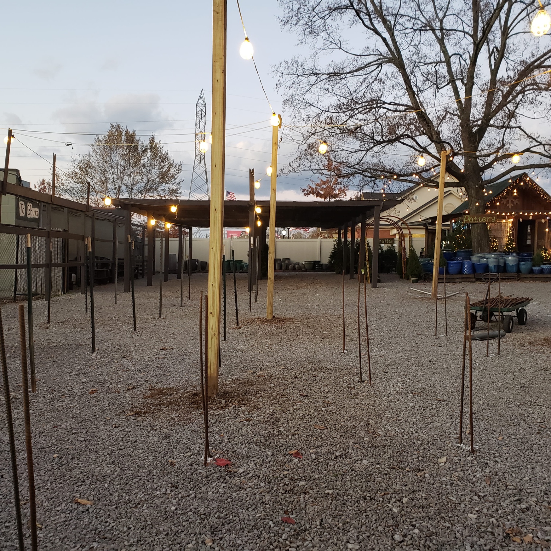 Empty tree lot lit with warm string lights